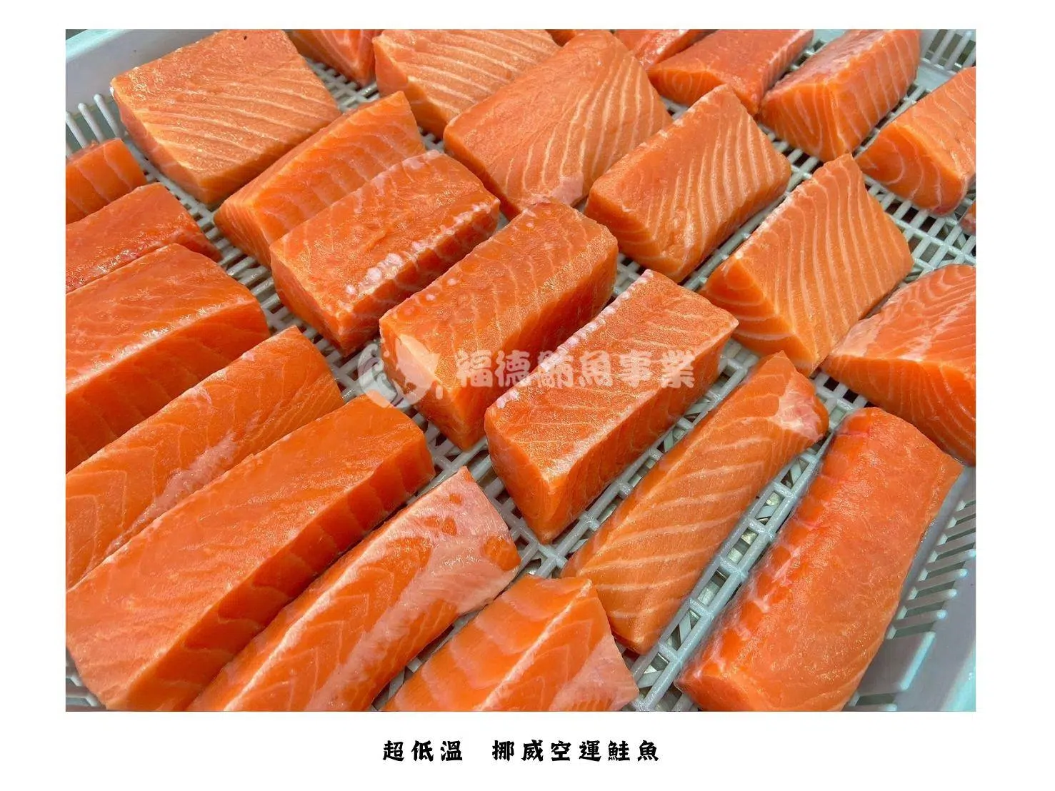 福德鮪魚
