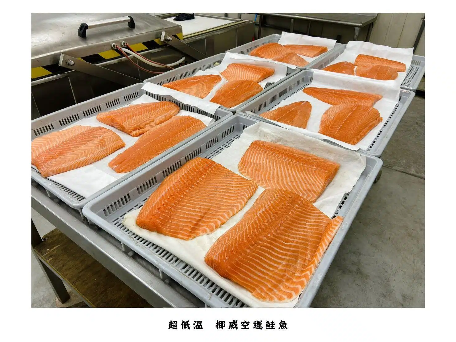 福德鮪魚