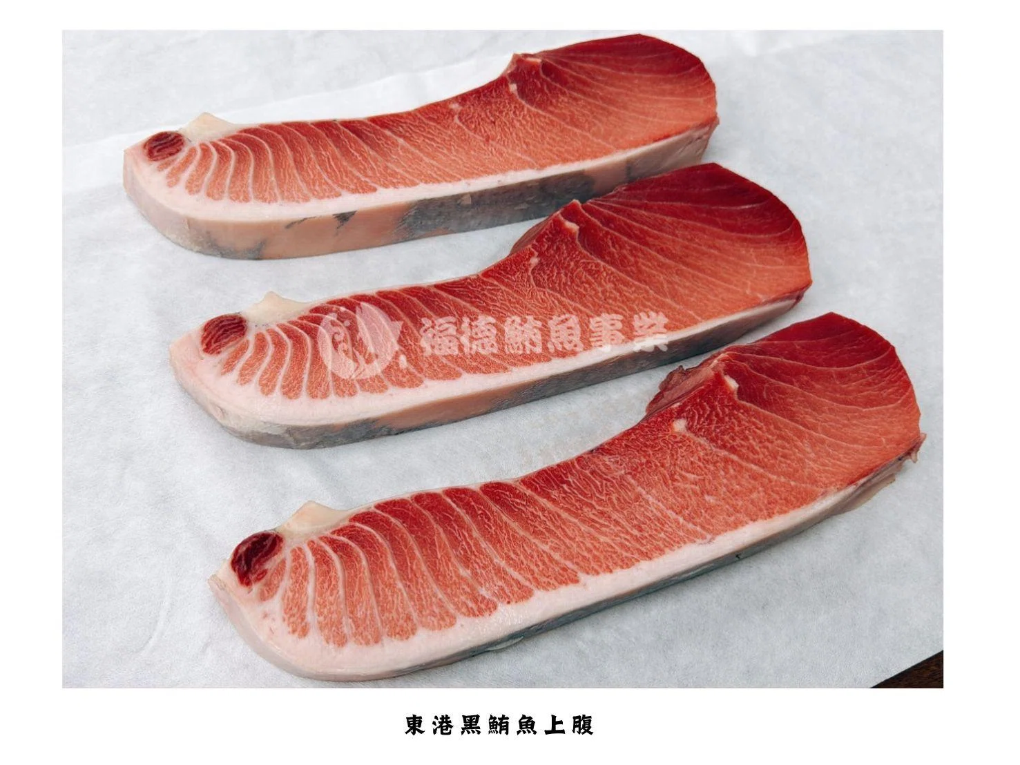 福德鮪魚