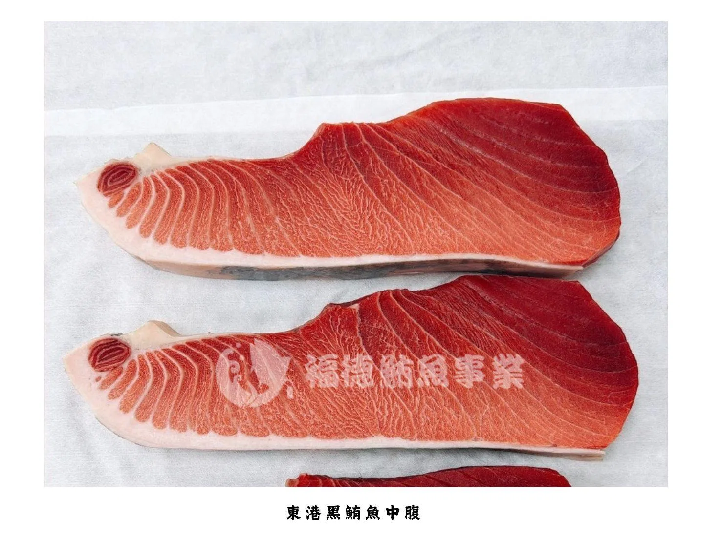 福德鮪魚