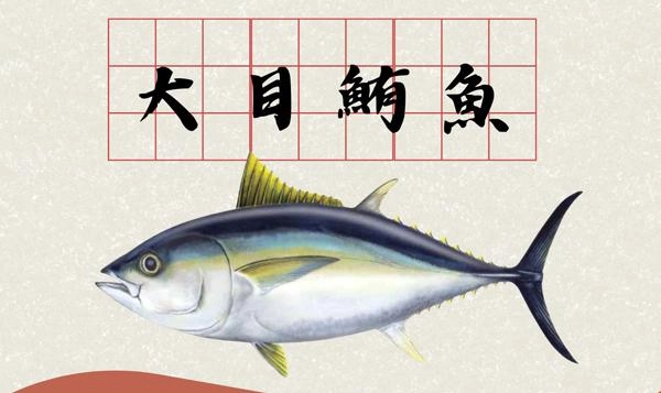 鮪魚百科