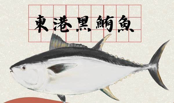 黑鮪魚百科