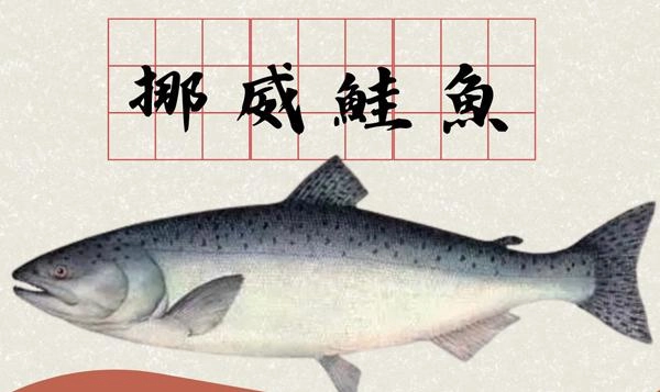 鮭魚