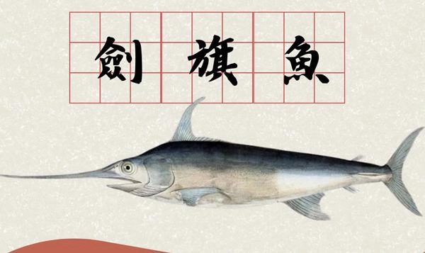 旗魚