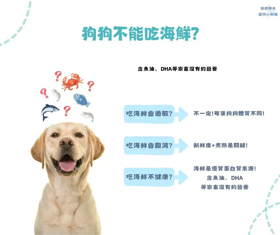 狗狗可以吃海鮮嗎？以前常常聽到「狗要吃肉、貓要吃魚」，難道狗狗真的不能吃海鮮嗎？其實這只是個以訛傳訛的不實傳言喔！