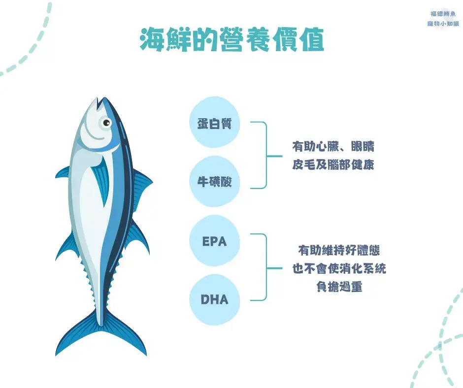 海鮮富含豐富的優質蛋白質、脂肪酸的營養來源，脂肪含量也比常見的牛、豬、雞更低，是非常適合寵物或人類食用的營養來源喔！