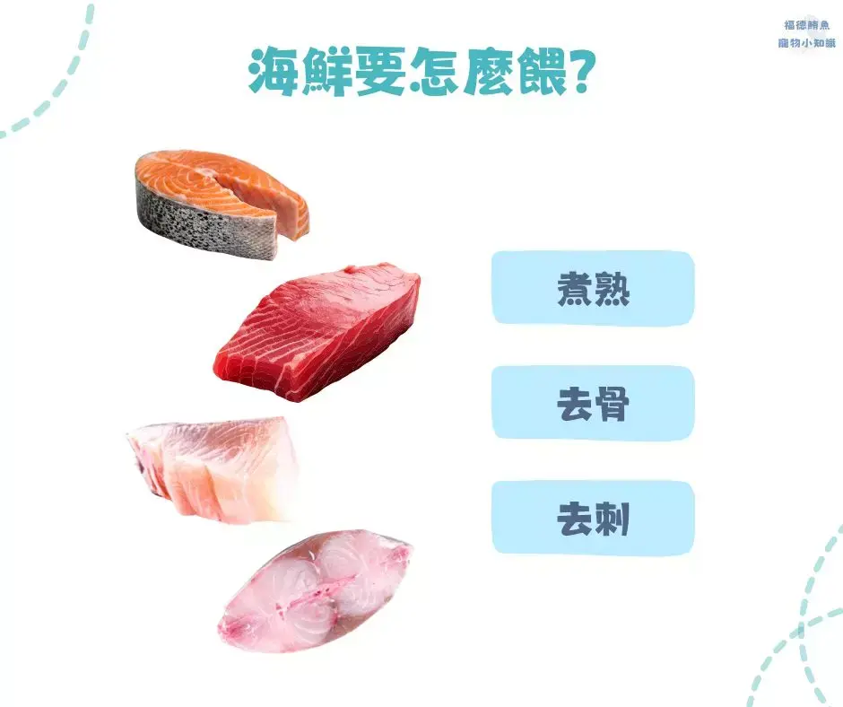 海鮮要怎麼餵？