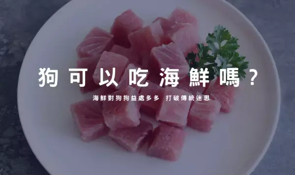 狗狗可以吃海鮮嗎？吃海鮮會過敏？海鮮其實對狗益處很多～傳統迷思的大破解！