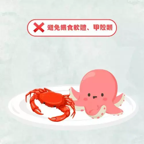 避免餵食軟體、甲殼類