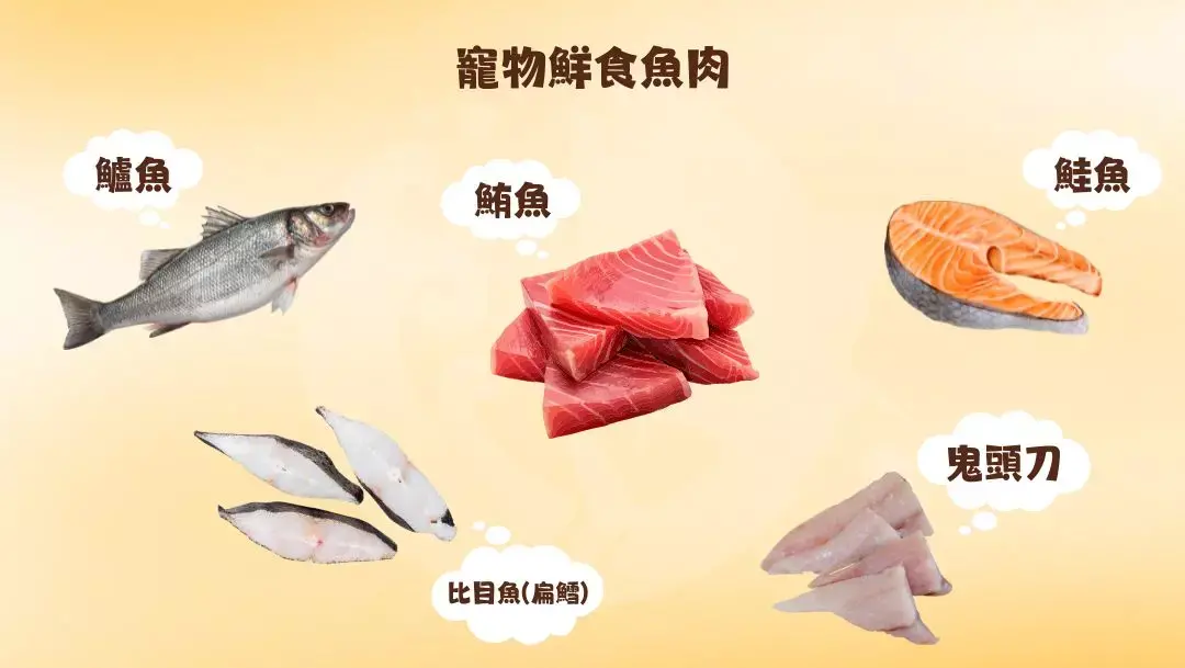 寵物鮮食魚肉