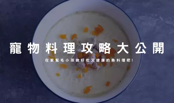 寵物料理 2024 年最受歡迎的毛小孩營養料理攻略大公開！！
