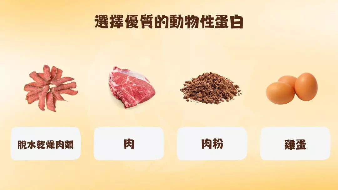 選擇優質的動物性蛋白
