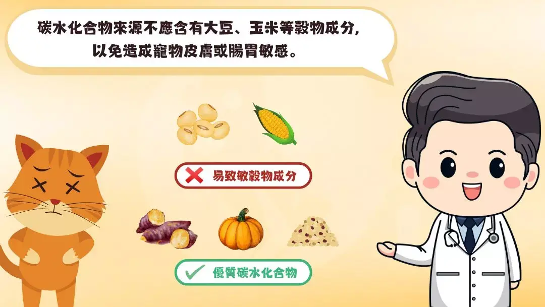 碳水化合物的來源也很重要