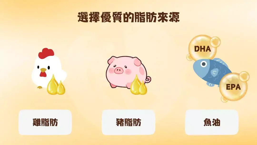 選擇優質的脂肪來源