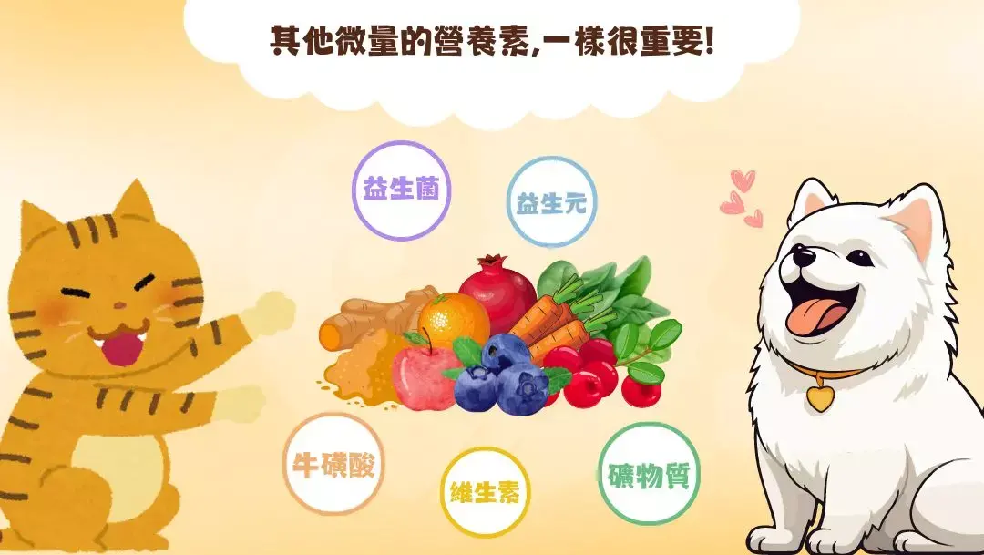 其他微量的營養素，一樣很重要！