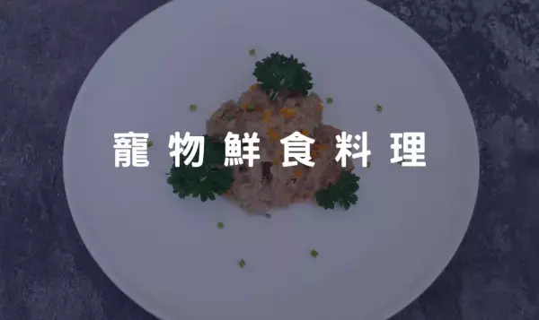 寵物食品要怎麼挑選？才能讓你家汪星人、喵星人吃得開心又健康！