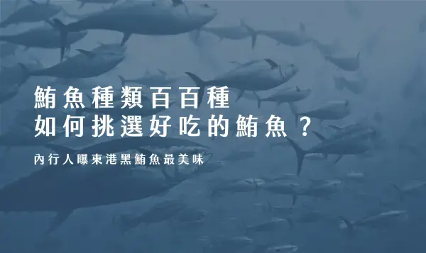 鮪魚種類百百種，如何挑選好吃的黑鮪魚生魚片？內行人曝東港黑鮪魚最美味
