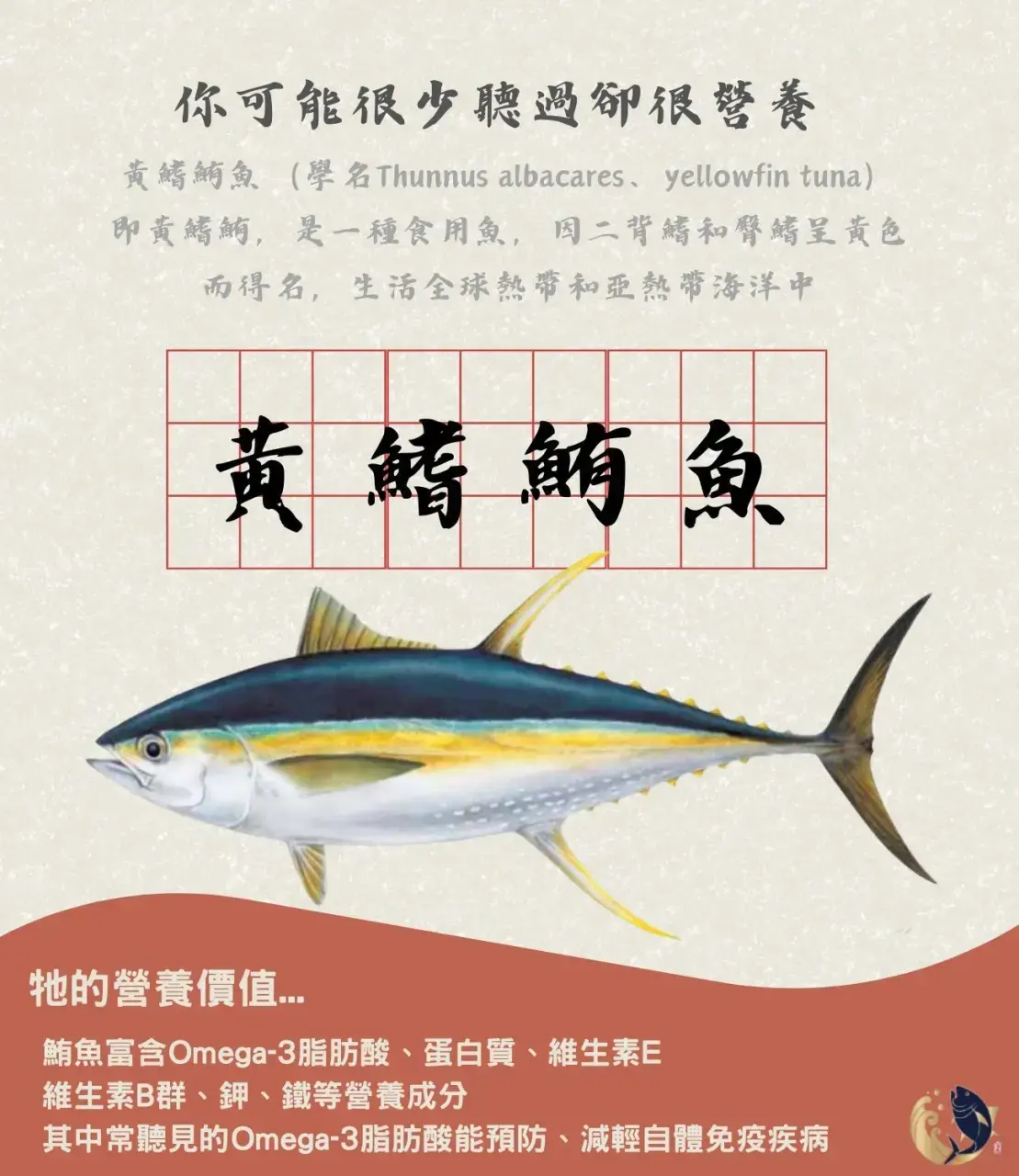 黃鰭鮪魚