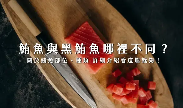 鮪魚與黑鮪魚到底哪裡不同？關於鮪魚部位、種類 詳細介紹看這篇就夠！