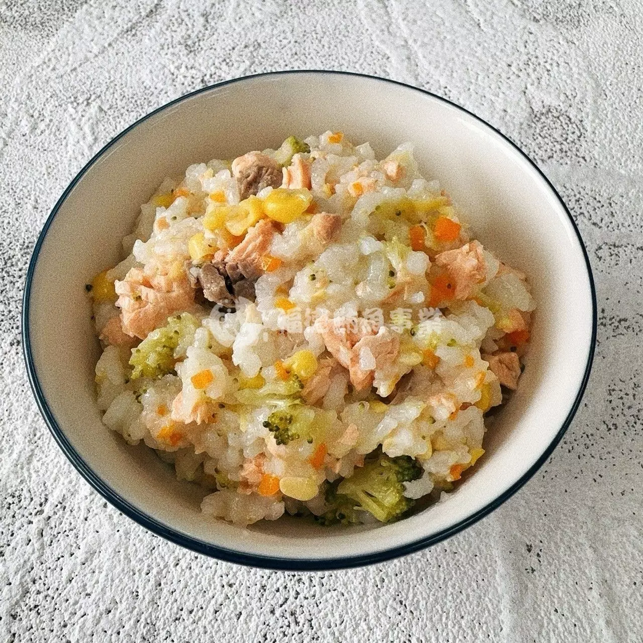 鮭魚蔬菜粥
