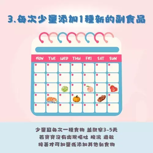 每次少量添加 1 種新的副食品