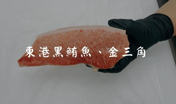 東港黑鮪魚-海中和牛！金三角