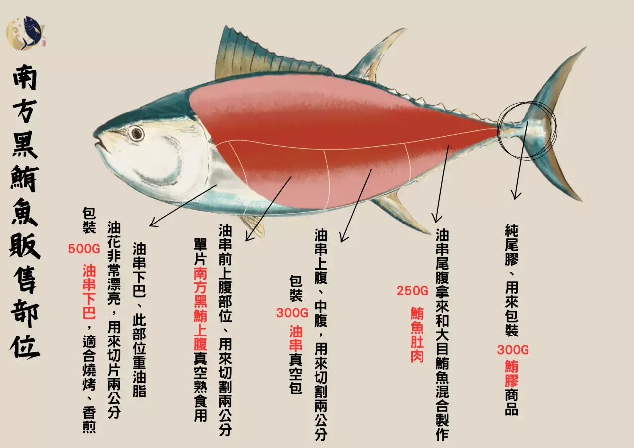 黑鮪魚