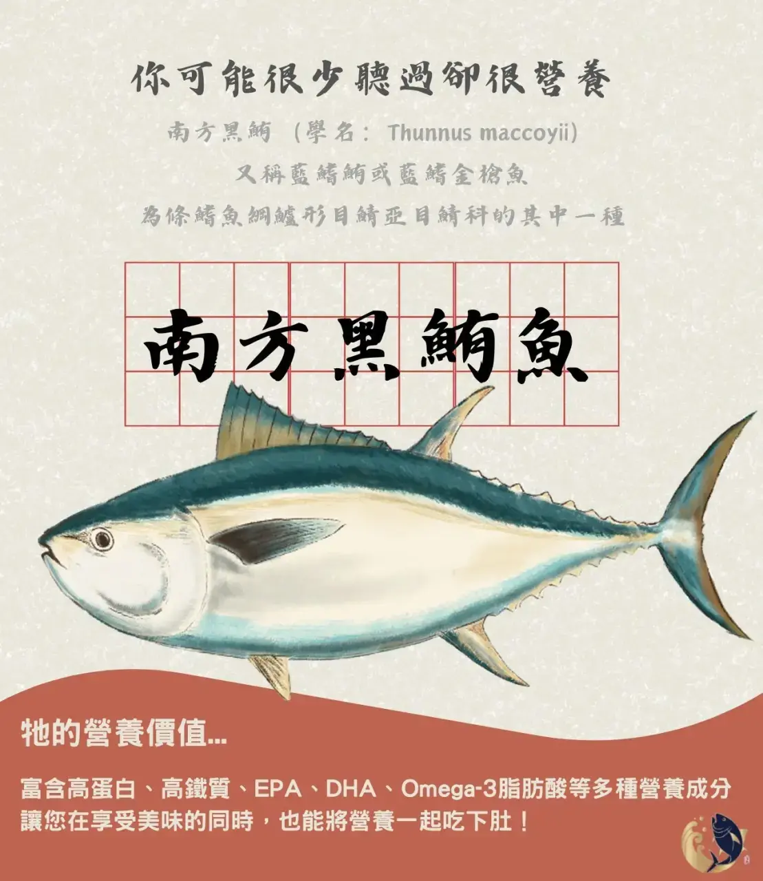 南方黑鮪魚