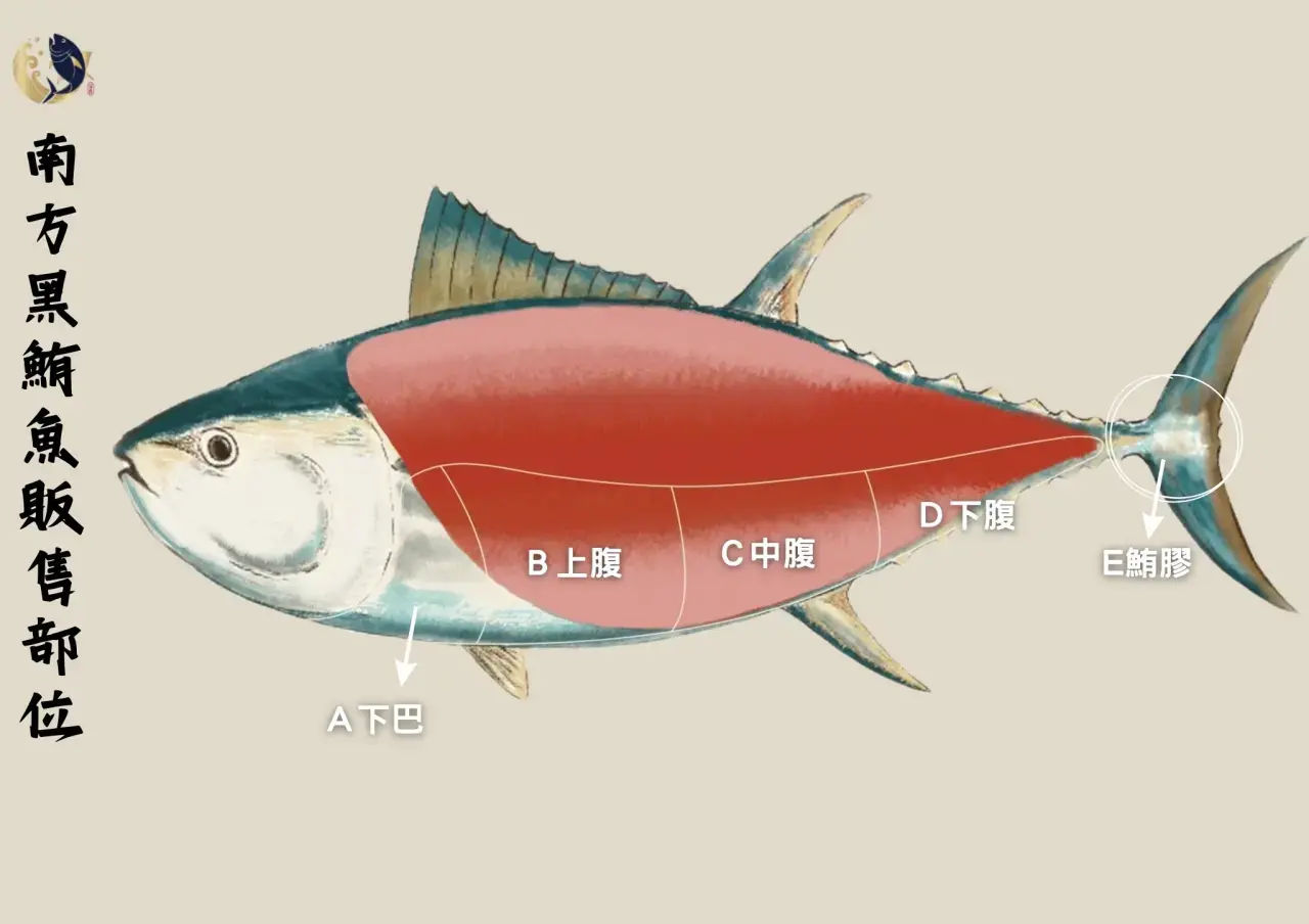 南方黑鮪魚