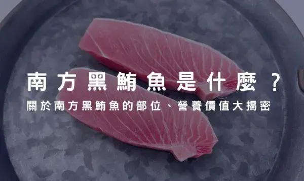 南方黑鮪魚產地在哪？關於南方黑鮪魚的部位、營養價值大揭密