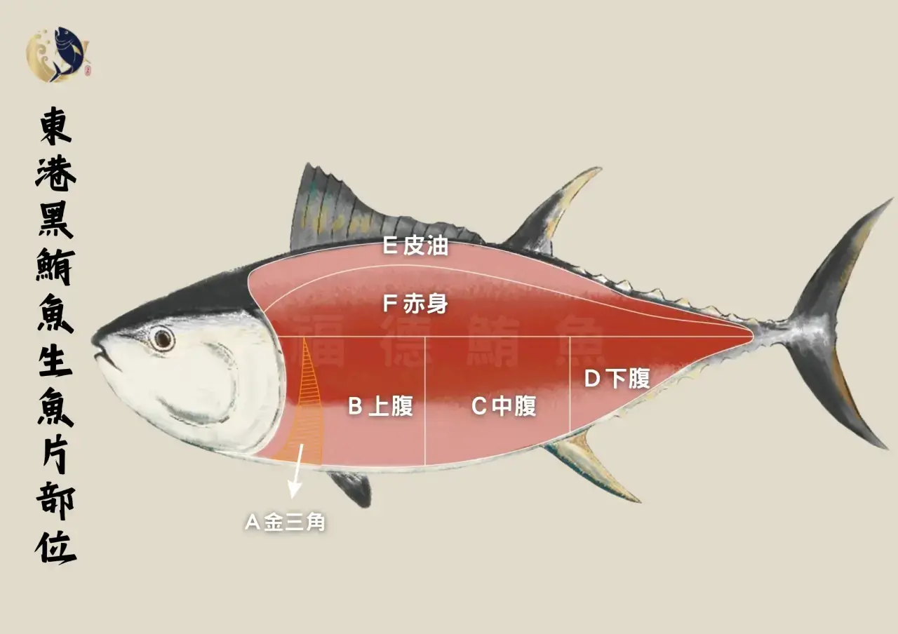 東港黑鮪魚-海中和牛!金三角 東港黑鮪魚-海中和牛!金三角