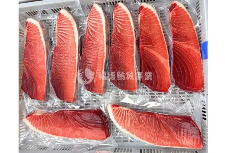 東港黑鮪魚-海中黑金！中腹