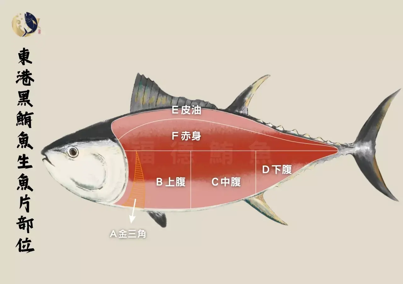 東港黑鮪魚