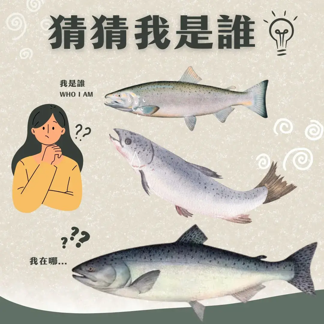 鮭魚