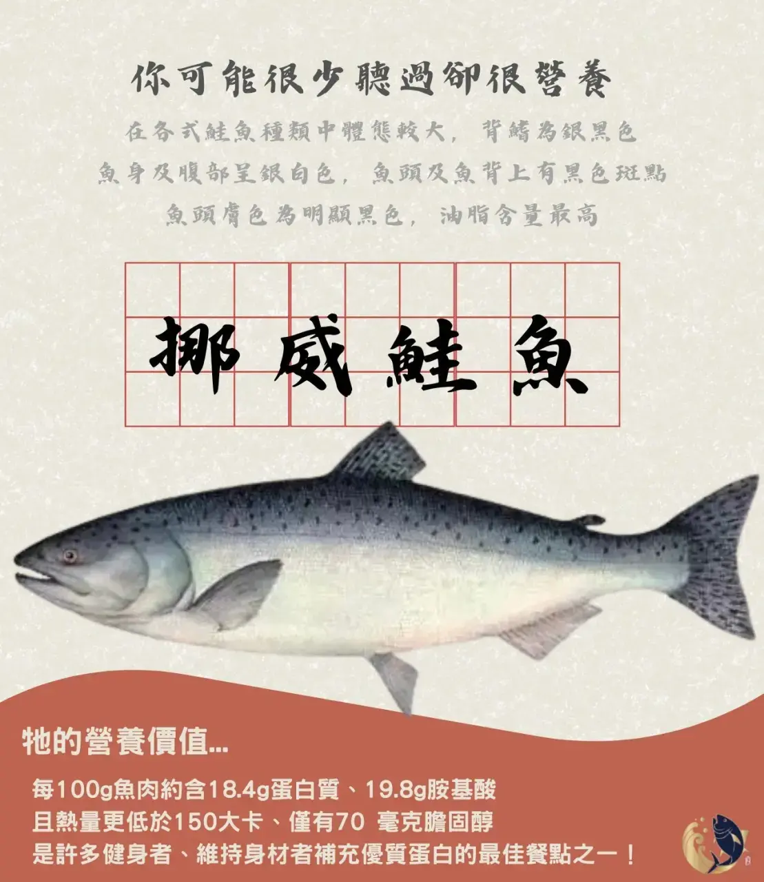 挪威鮭魚