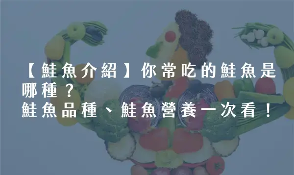 你常吃的鮭魚是哪種？鮭魚品種、鮭魚營養一次看完！
