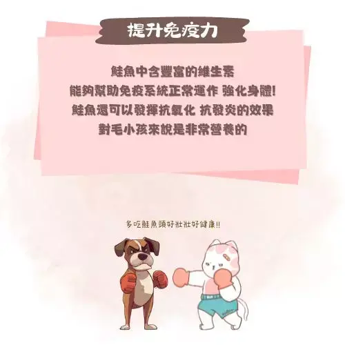 提升免疫力