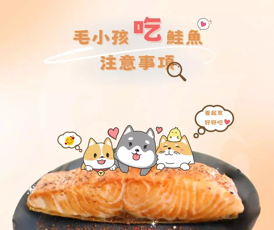 鮭魚