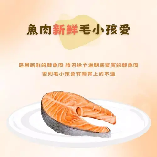 鮭魚