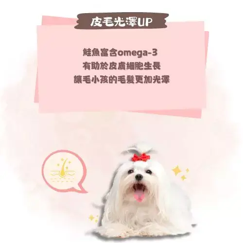 皮毛光澤 UP