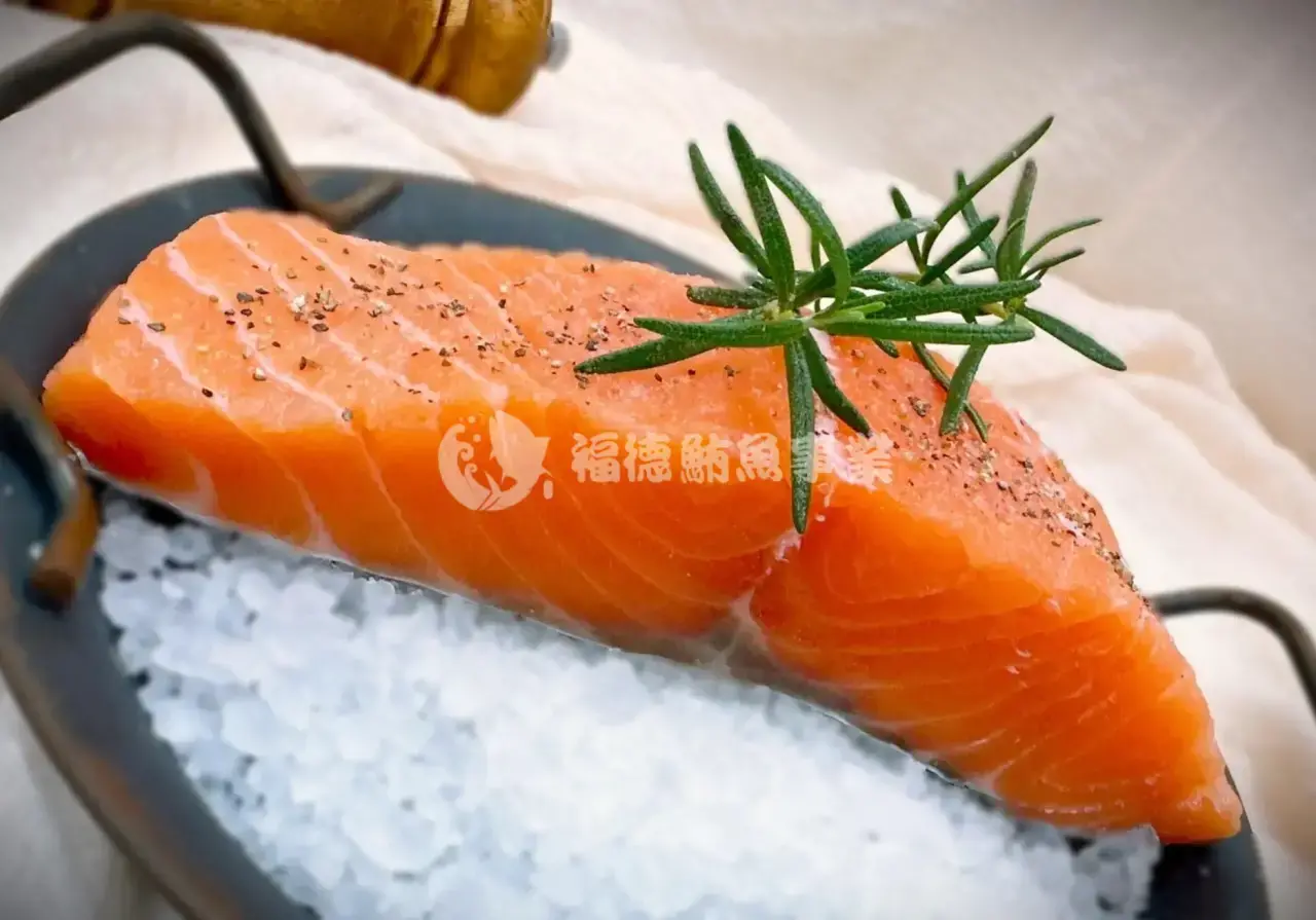 鮭魚營養