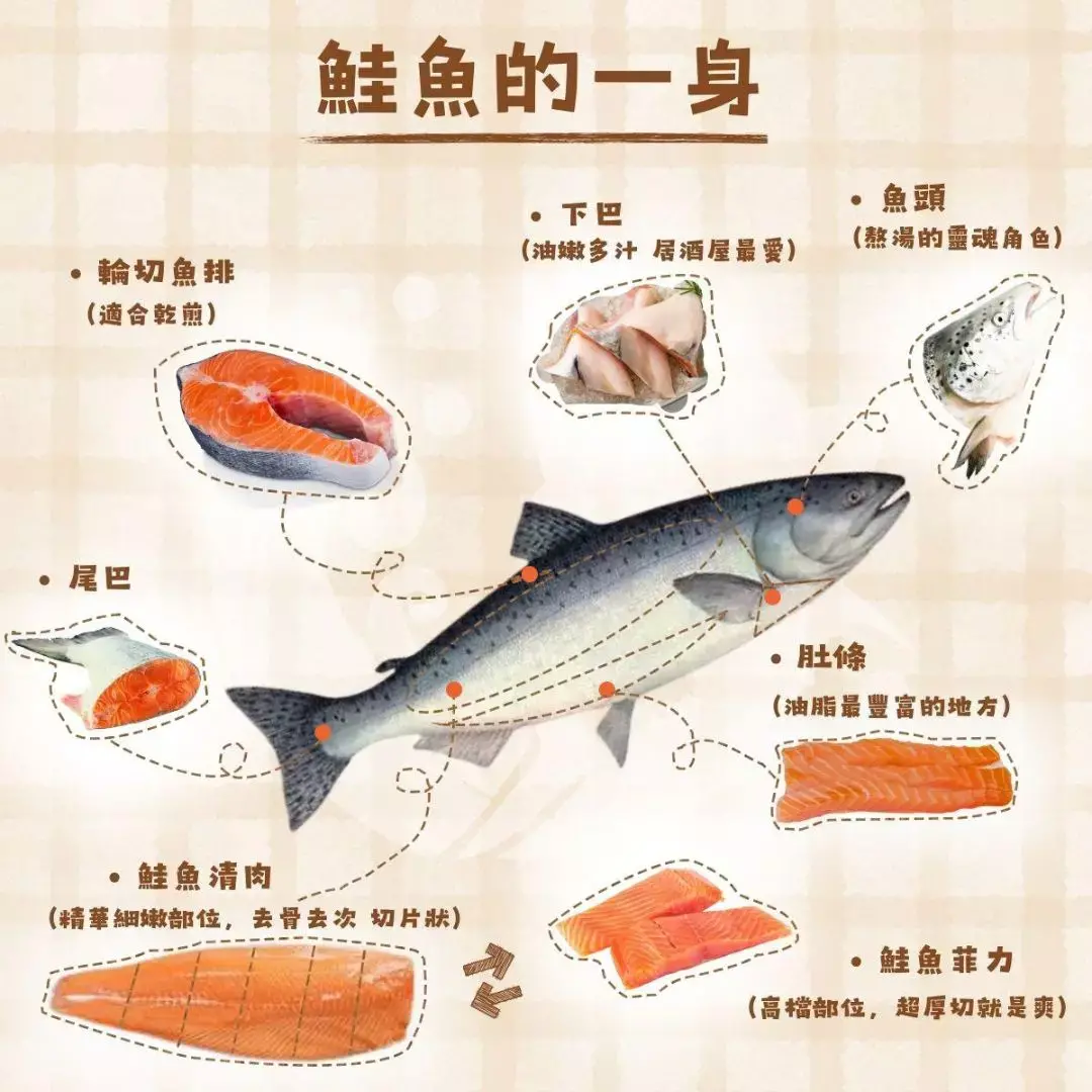 味噌鮭魚經過醃製後,肉質軟嫩、味道濃郁不死鹹,是一道超級下飯的料理! 鮭魚