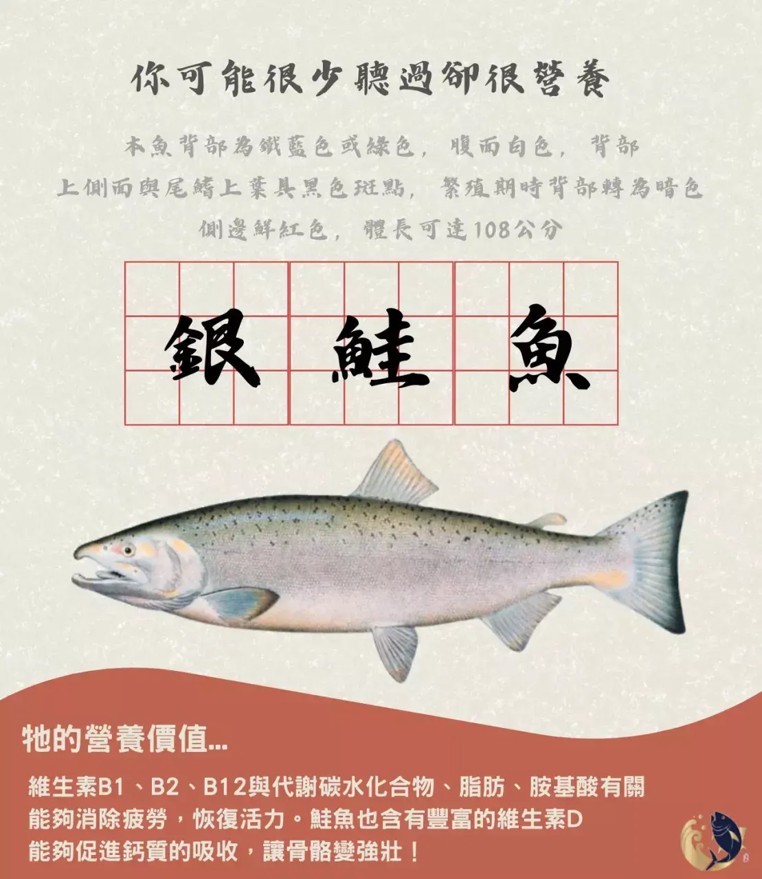 智利鮭魚與智利銀鮭魚差異?究竟怎麼買鮭魚最划算?請詳細看這篇了解! 智利銀鮭魚