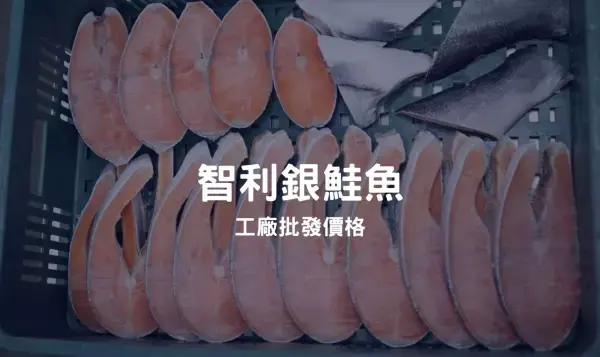 智利鮭魚與智利銀鮭魚差異？究竟怎麼買鮭魚最划算？請詳細看這篇了解！