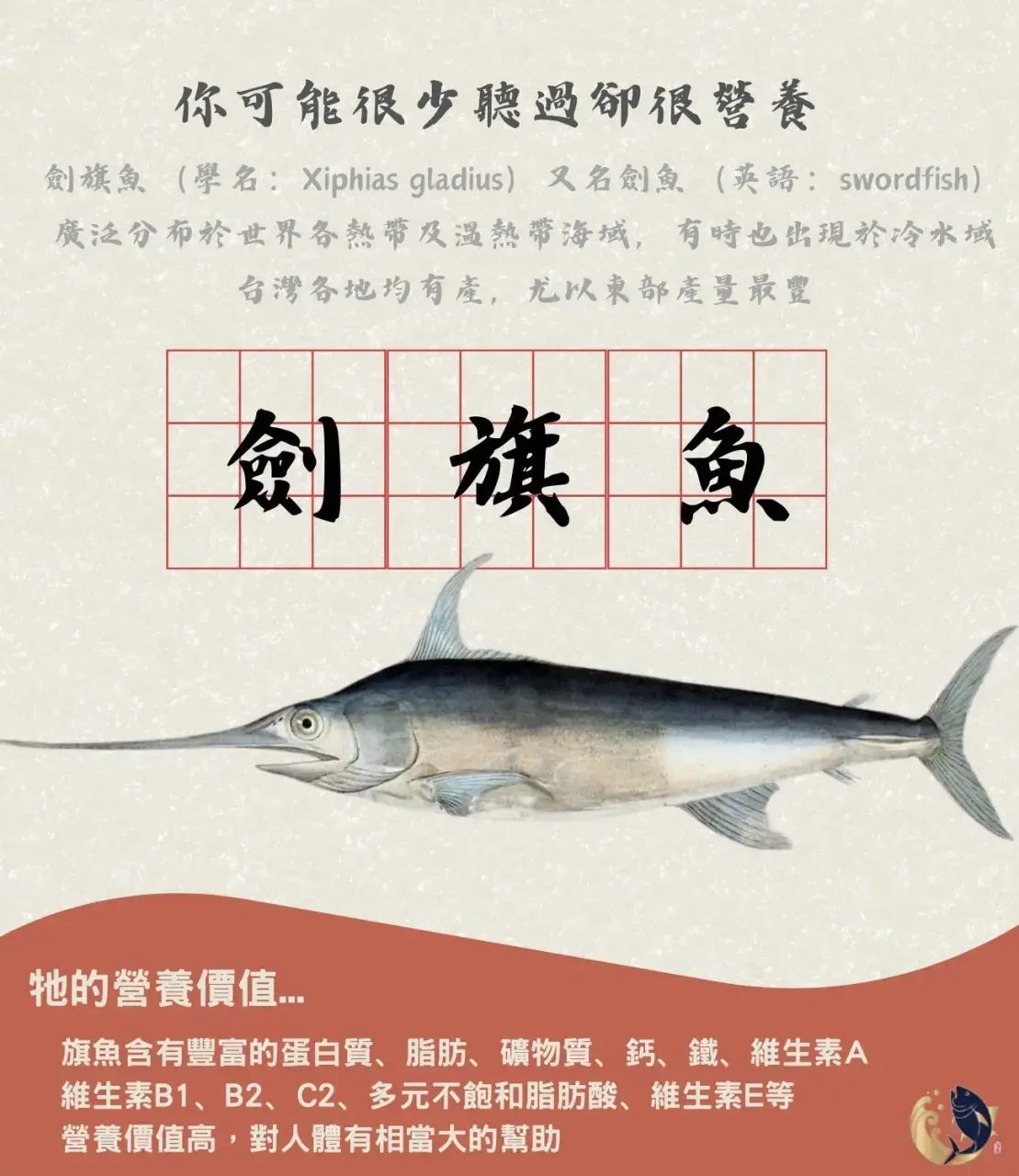 劍旗魚