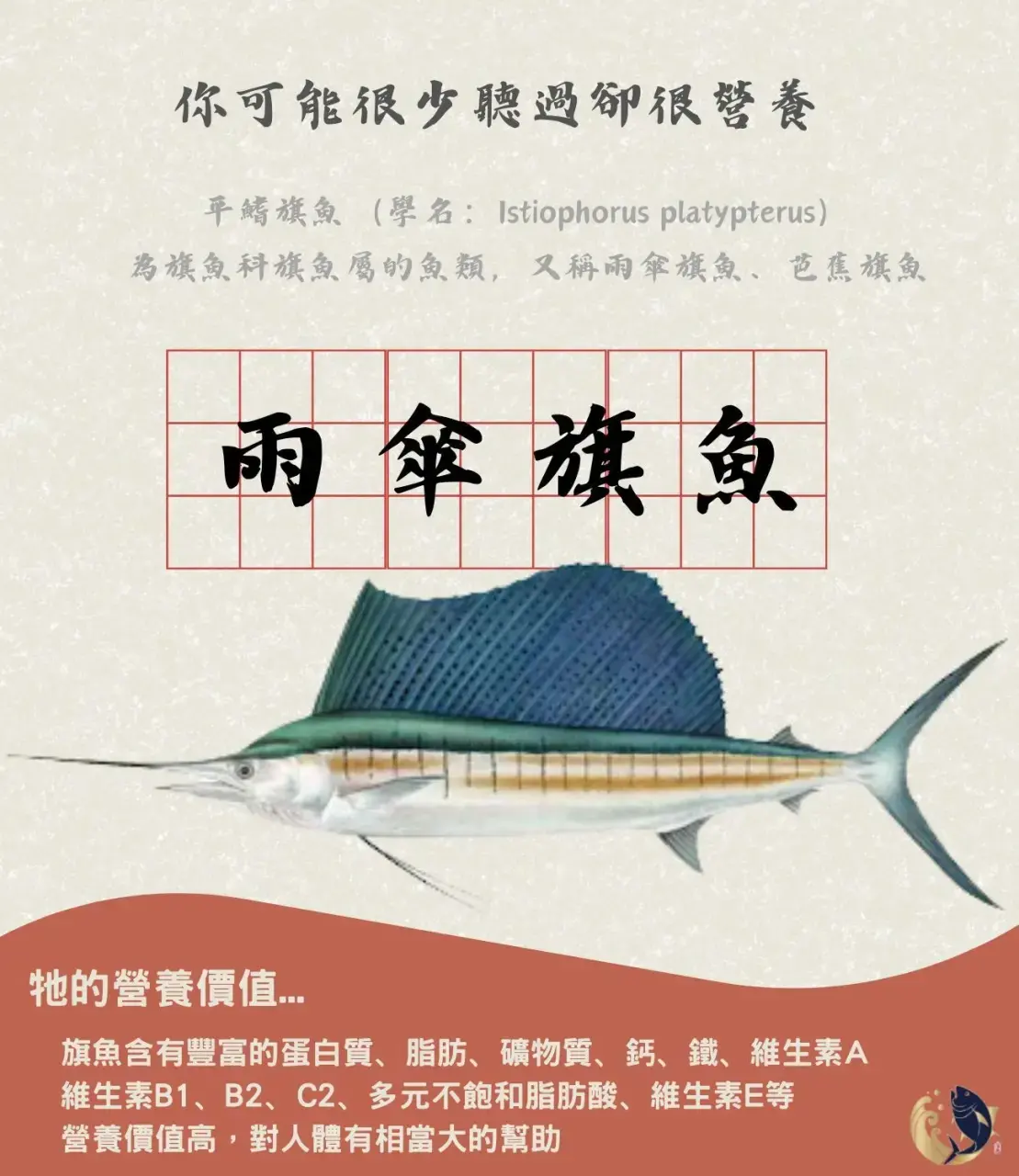 雨傘旗魚